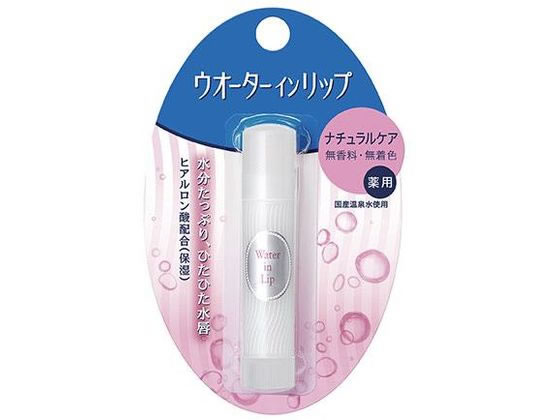 【ブラックフライデー限定★27日9:59迄店内ポイント2倍】ファイントゥデイ ウォーターインリップ 薬用スティックNF f リップケア フェイスケア スキンケア(4)