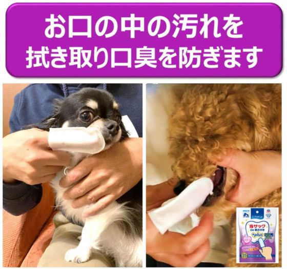 �ڥޥ饽������2,000�ߥ����ݥ���ݥ����2�ܡۡڤ����󤻡ۥ��������ڥå� ���֥�ǥ�� �إ��å�de���ߤ��� 35�� ���̥��å� �ڥå� ������ ���襰�å� �ڥåȥϥ���