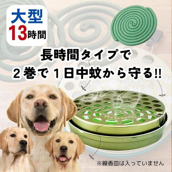 �ڥ�ӥ塼��Ƥ�100��OFF�����ݥ�ۡڤ����󤻡ۥ��������ڥå� �ڥå��� ����������AC 48���� ���̥��å� �ڥå� ������ ���襰�å� �ڥåȥϥ���