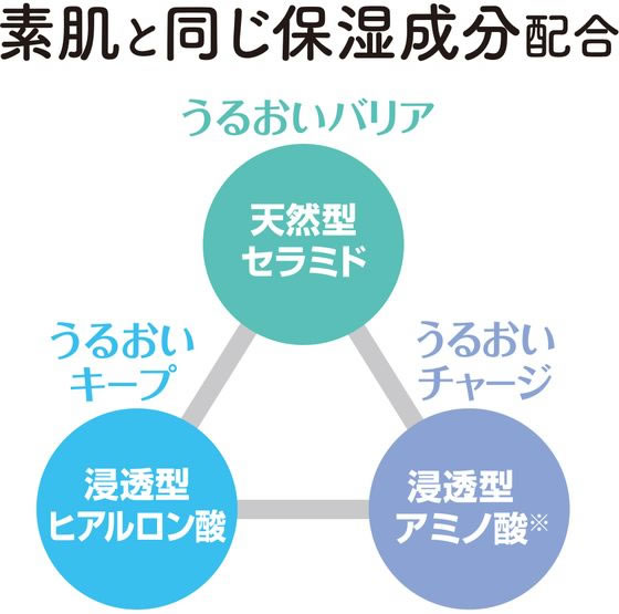 ���ǰ��ͤ�ĩ���桿��380mL��21�ġۡڥ᡼����ľ���۵����и� �����֥��� ̵ź�åܥǥ������� ���� 380mL��21�ġ�����Բġۥܥǥ������׵��ؤ��� �Х� �ܥǥ����� �����󥱥�