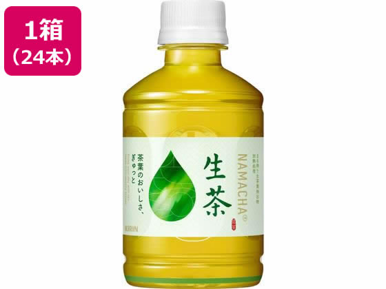 【レビュー投稿で100円OFFクーポン】キリン 生茶 ホット&コールド 280mL 24本 ペットボトル 緑茶 お茶 飲料