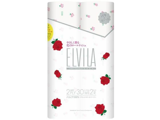 �G���r�� �o���̍��� �_�u�� 30m×12���[��