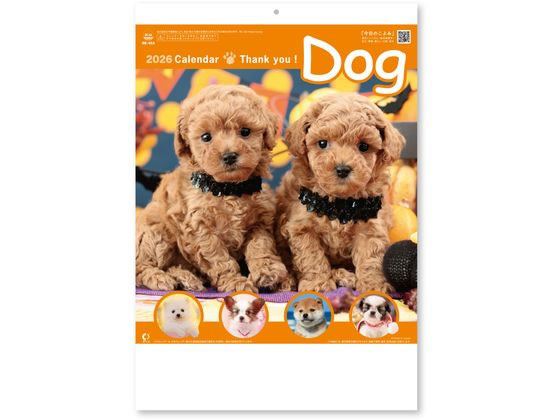 【スーパーSALE限定2,000円クーポン&11日9:59迄ポイント2倍】 【お取り寄せ】新日本カレンダー サンキュー・ドッグ NK8454 事務用ペーパー ノ...