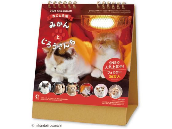 【スーパーSALE限定2,000円クーポン&11日9:59迄ポイント2倍】 【お取り寄せ】新日本カレンダー 卓上 みかんとじろうさんち NK8527 事務用ペー...