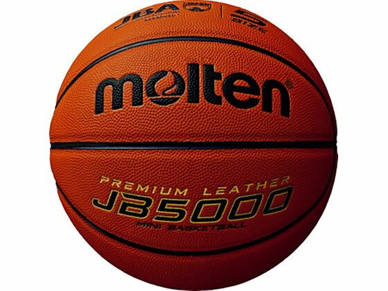 【レビュー投稿で100円OFFクーポン】【お取り寄せ】モルテン JB5000 5号球 B5C5000