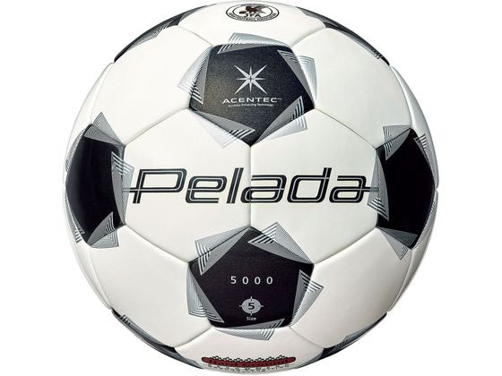 【レビュー投稿で100円OFFクーポン】【お取り寄せ】モルテン ペレーダ5000 土用 5号 F5K5001