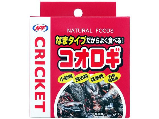 �i�`�������y�b�g�t�[�Y �R�I���M 40g