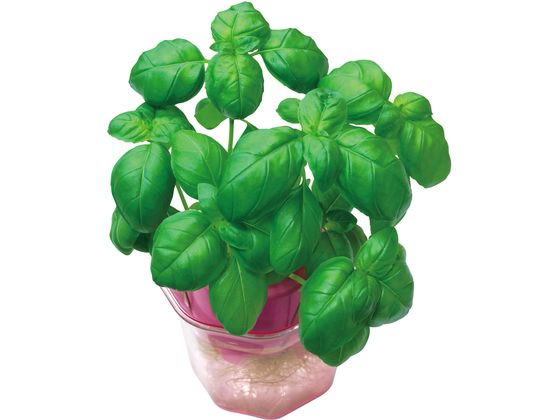 �ڥޥ饽������2000�ߥ����ݥ���ݥ����2�ܡۡڤ����󤻡ۥ����ƥå� �Х��� 0.5mL ���� 102989 �� �� ��� �����ǥ˥�