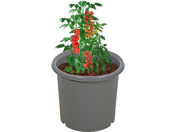 【楽天スーパーSALE限定★ポイント2倍＆2,000円クーポン】【お取り寄せ】LIV PLUS ベストコ 植木鉢 鉢 ポット 8号 グレー プランター 園芸グッズ 園芸 ガーデニング