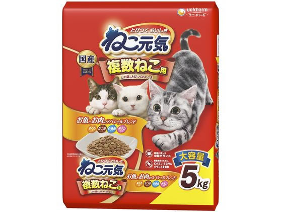 �˂����C �����˂��p �����Ƃ����̃X�y�V�����u�����h �܂���E�����E���g���E�`�L������ 5kg