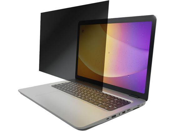 【レビュー投稿で100円OFFクーポン】【お取り寄せ】エレコム PC用覗き見防止フィルター 16W 16:10 EFWPFX16W10 プライバシーフィルター PC パソコン 家電