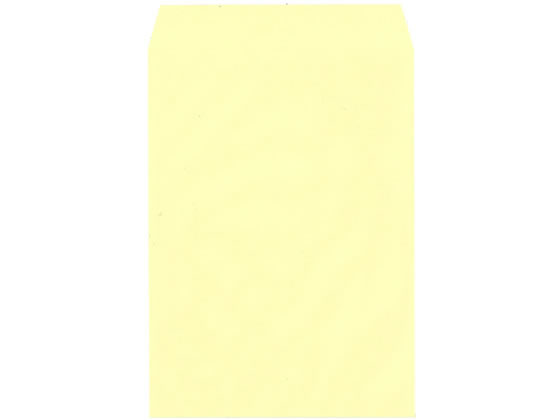 �ڳ�ŷ�����ѡ�SALE������ݥ����2�ܡ�2,000�ߥ����ݥ�ۥϡ��� Ʃ���ʤ����� ��2 �ơ����� �ѥ��ƥ륯�꡼�� 100�� XEP473 ����ϳ�����к���...