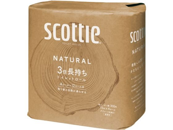 �X�R�b�e�B �i�`������ 3�{������ ������ �_�u�� 4���[��