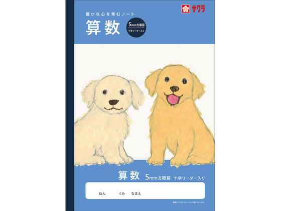 �ڳ�ŷ�����ѡ�SALE������ݥ����2�ܡ�2,000�ߥ����ݥ�ۡڤ����󤻡ۥ����饯��ѥ� �ؽ�Ģ ���� �����5�ߥ� NJ7 ���� ���󤹤� �׻� ��������...