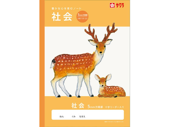 �ڳ�ŷ�����ѡ�SALE������ݥ����2�ܡ�2,000�ߥ����ݥ�ۡڤ����󤻡ۥ����饯��ѥ� �ؽ�Ģ �Ҳ� �����5�ߥ� NJ45 �Ҳ� ���㤫�� �ؽ�Ģ �Ρ�...