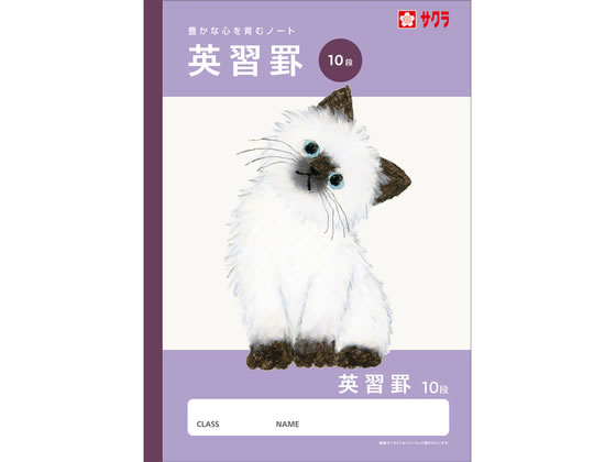 �ڳ�ŷ�����ѡ�SALE������ݥ����2�ܡ�2,000�ߥ����ݥ�ۡڤ����󤻡ۥ����饯��ѥ� �ؽ�Ģ �ѽ��� 10�� NJ93 �ѽ��� �ؽ�Ģ �Ρ���