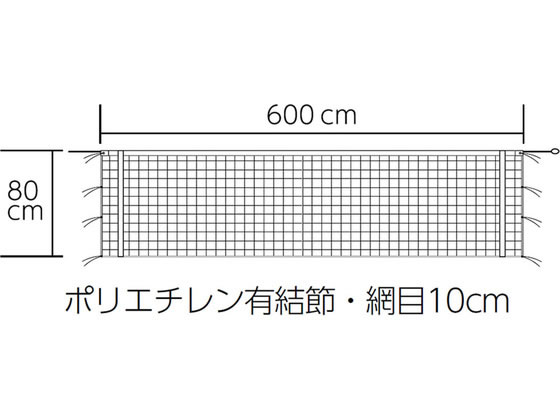 【レビュー投稿で100円OFFクーポン】【お取り寄せ】TOEI LIGHT トーエイライト ソフトバ ...