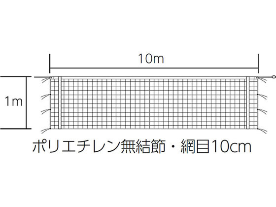 【レビュー投稿で100円OFFクーポン】【お取り寄せ】TOEI LIGHT トーエイライト バレーボ ...