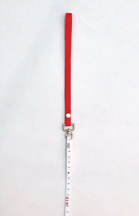 �ڤ����󤻡�TOEI LIGHT �ȡ������饤�� ���ܥ�����100