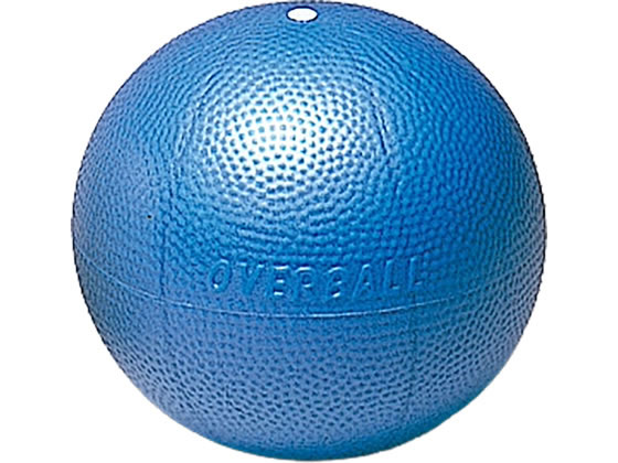 Medicine Ball - 【レビュー投稿で100円OFFクーポン】【お取り寄せ】TOEI LIGHT トーエイライト ソフトギムニク 青