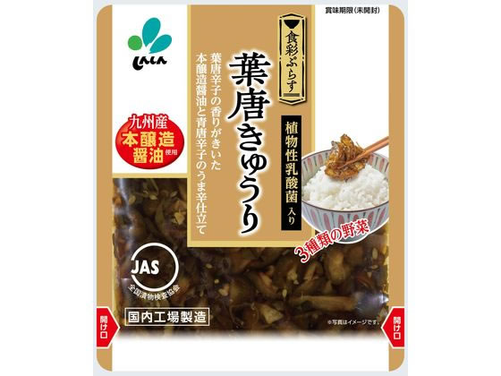 醬菜 - 【レビュー投稿で100円OFFクーポン】訳あり)新進 食彩ぷらす 葉唐きゅうり 90g 漬物 ご飯のお供 調味料 油 食品