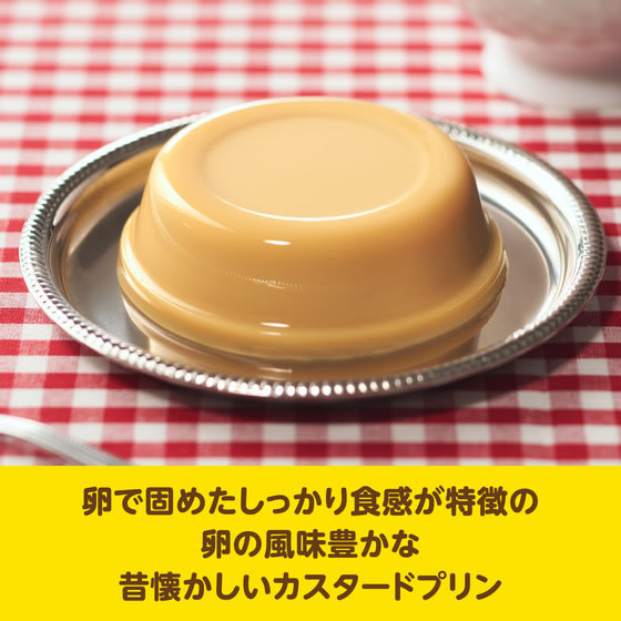 井村屋 袋入カスタードプリン 4個 cocodecow-10902274 ココデカウ サンプル画像2