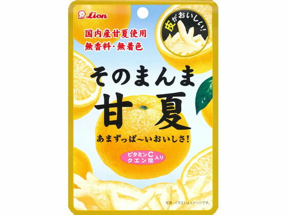 【レビュー投稿で100円OFFクーポン】ライオン菓子 そのまんま甘夏 25g グミ 飴 タブレット お菓子