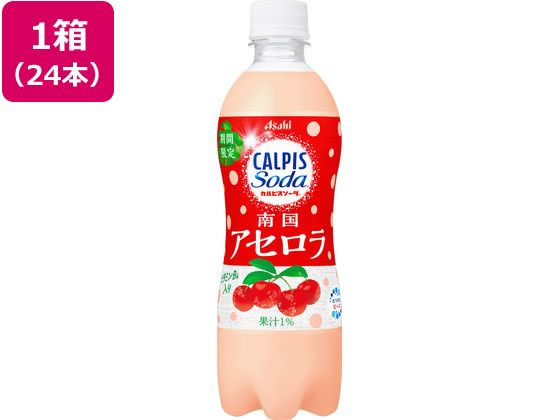 【商品説明】カルピスソーダ（R）のやさしさと、アセロラの元気な甘ずっぱさ。カルピスソーダ（R）にアセロラ果汁をブレンドした炭酸飲料です。カルピスソーダ（R）のやさしいのどごしとアセロラの甘ずっぱさが、疲れた気分をふっと切り替えてくれます。南国の赤い果実が彩る季節限定のカルピスソーダ（R）です。【仕様】●注文単位：1箱（24本）【備考】※メーカーの都合により、パッケージ・仕様等は予告なく変更になる場合がございます。【検索用キーワード】アサヒ飲料　あさひいんりょう　アサヒインリョウ　カルピスソーダ南国アセロラ　かるぴすそーだなんごくあせろら　カルピスソーダナンゴクアセロラ　500ml　カルピス　炭酸　果実　アセロラ　缶飲料　ボトル飲料　清涼飲料、ジュース、その他　R223NTカルピスソーダのやさしさと、アセロラの元気な甘ずっぱさ。