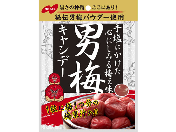 【レビュー投稿で100円OFFクーポン】ノーベル 男梅キャンデー 80g キャンディ 飴 グミ タブレット お菓子