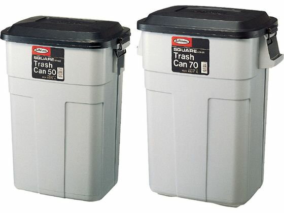 【レビュー投稿で100円OFFクーポン】送料無料【お取り寄せ】岩崎工業 ラストロ トラッシュカン 70型 L-945 分別タイプ ゴミ箱 ゴミ袋 清掃