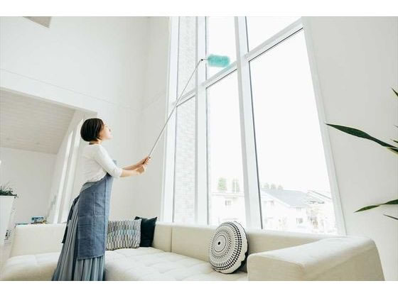 �ڥ�ӥ塼��Ƥ�100��OFF�����ݥ������̵���ڤ����󤻡ۻ��껺�� 2989JP+ �ࡼ���������NF-EX2�� 1���� �ۥ����� �ݽ�ƻ�� ���� ����