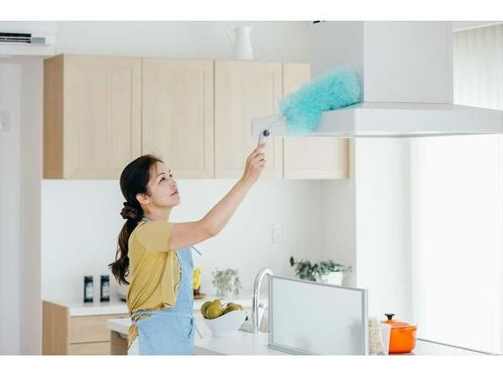 �ڥ�ӥ塼��Ƥ�100��OFF�����ݥ�ۻ��껺�� 2989JP+ �ࡼ���������F-EX 1���� �ۥ����� �ݽ�ƻ�� ���� ����