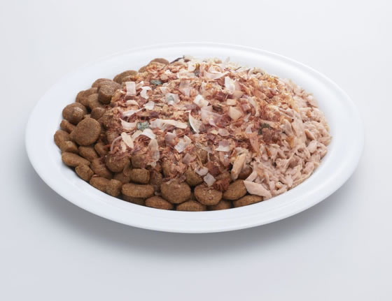ココデカウの【お取り寄せ】はごろもフーズ わんチュラル いぬふり かつお味 20g｜アングル2