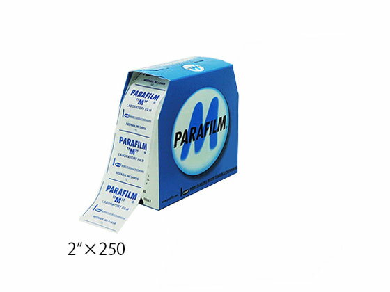 ڥ֥åե饤ǡ279:59Źݥ2ܡۡڤ󤻡ۥ ѥե 2