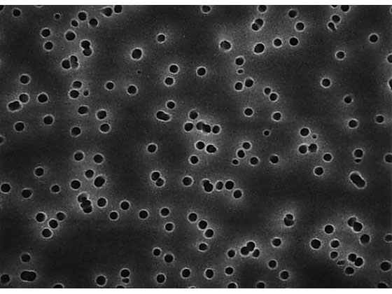 【マラソン限定★2000円クーポン＆ポイント2倍】【お取り寄せ】Merck Isopore disc PC philic 0.6μm 47mm wh pln 100 Pk 100PK DTTP04700 バイオサイエンス ライフサイエンス研究 メルクミリポア 検査 分析機器