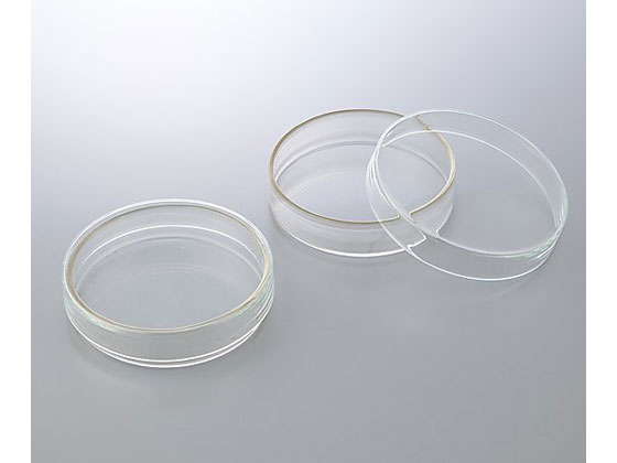 �ڥ�ӥ塼��Ƥ�100��OFF�����ݥ�ۡڤ����󤻡ۥ������ ���㡼��(BOROSIL(R))��50��17mm 3160065 ���㡼�� ���饹�ƴ� ���̴�