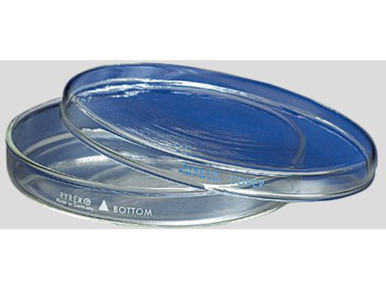 【レビュー投稿で100円OFFクーポン】【お取り寄せ】コーニング・PYREX ペトリ皿 PYREX(R)φ150×15mm 3160-150 シャーレ ガラス容器 計量器