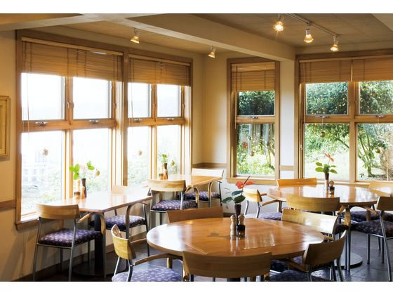 �ڳ�ŷ�����ѡ�SALE������ݥ����2�ܡ�2,000�ߥ����ݥ�ۡڤ����󤻡�ī���Ŵ� �����դ������� EWS-P52 �ɥ����㥤�� ���㥤�� �ɥ��ۥ� ���ȥ������ƥ�