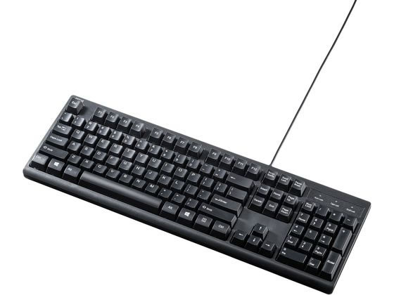 【お取り寄せ】サンワサプライ 英語PS 2キーボード ブラック SKB-E5PBK キーボード テンキー PC周辺機器