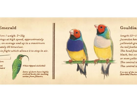 �ڳ�ŷ�����ѡ�SALE������ݥ����2�ܡ�2,000�ߥ����ݥ�ۡڤ����󤻡ۥ���� mt ex �޴ա�Ļ MTEX1P90R �ǥ��졼������ѥޥ����󥰥ơ��� �ǥ��졼����󥰥å�