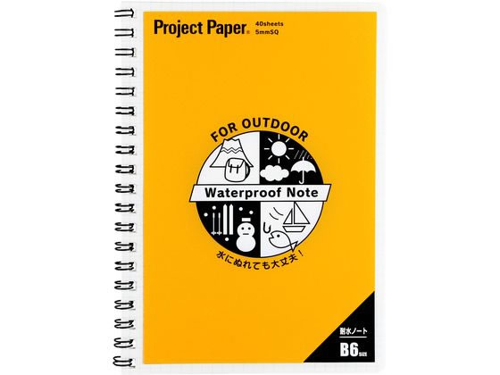 �ڳ�ŷ�����ѡ�SALE������ݥ����2�ܡ�2,000�ߥ����ݥ�ۥ����� �ץ��������ȥڡ��ѡ� �ѿ�Ρ��� B6 ���� PWB6 B6�Ρ���