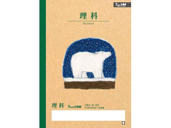 �ڳ�ŷ�����ѡ�SALE������ݥ����2�ܡ�2,000�ߥ����ݥ�ۡڤ����󤻡ۥ����饯��ѥ� �ؽ�Ģ ���� �����5�ߥ� NP41 ���� �꤫ �ؽ�Ģ �Ρ���