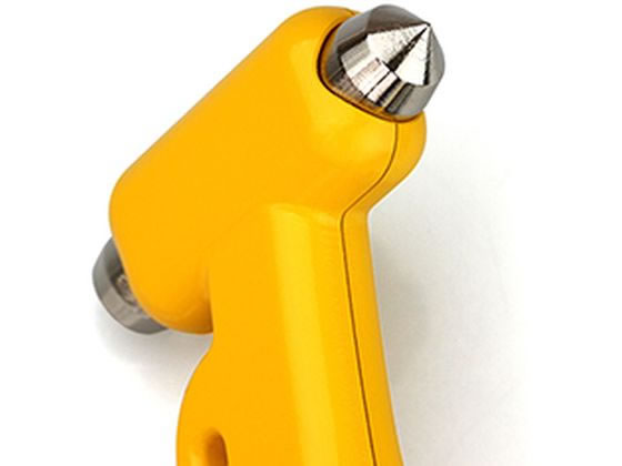 �ڳ�ŷ�����ѡ�SALE������ݥ����2�ܡ�2,000�ߥ����ݥ�ۡڤ����󤻡��綶���� �֥쥤���ϥ�ޡ� �������� 637