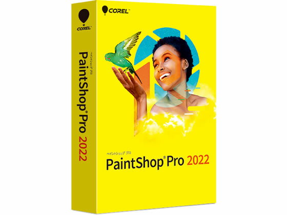 ͥ PaintShop Pro 2022 299880 ͥȼ PCե եȥ