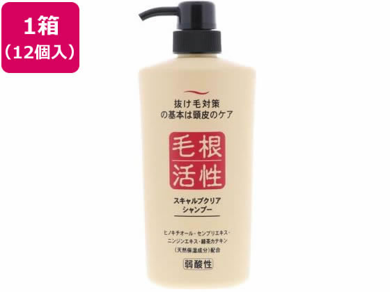 �ڳ�ŷ�紶�պ׸����26��9:59���ݥ����2�ܡۡڥ᡼����ľ���ۥ���󡦥�����ƥ��å� �Ӻ����� �������ץ��ꥢ�����ס� 550mL 12�ġ�����Բġۥ�...