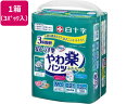 【ポイント2倍★22日20:00~27日9:59迄】【メーカー直送】白十字 サルバ Dパンツやわらかスリム ML 22枚 3パック【代引不可】 大人用オムツ 排泄ケア 介護 介助