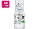 【店内全品ポイント2倍★27日9:59迄】 【メーカー直送】健栄製薬 のどすっきりうがい薬CP ミント味 300mL×10個【代引不可】 鼻 のど メディカル