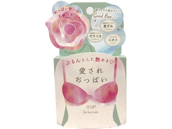 【レビュー投稿で100円OFFクーポン】【お取り寄せ】ペリカン石鹸 愛されおっぱい 70g 固形せっけん ハ..
