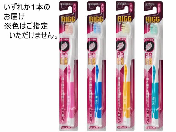 エビス リグハブラシ・ふつう 歯ブラシ ふつう オーラルケア