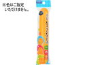 【スーパーSALE★クーポン&11日9:59迄ポイント2倍】 【お取り寄せ】エビス くりたんハブラシケース1個 歯ブラシ ふつう オーラルケア(4)